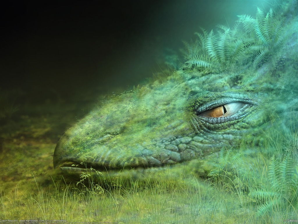 動物寬屏壁紙合集 (12) #19 - 1024x768