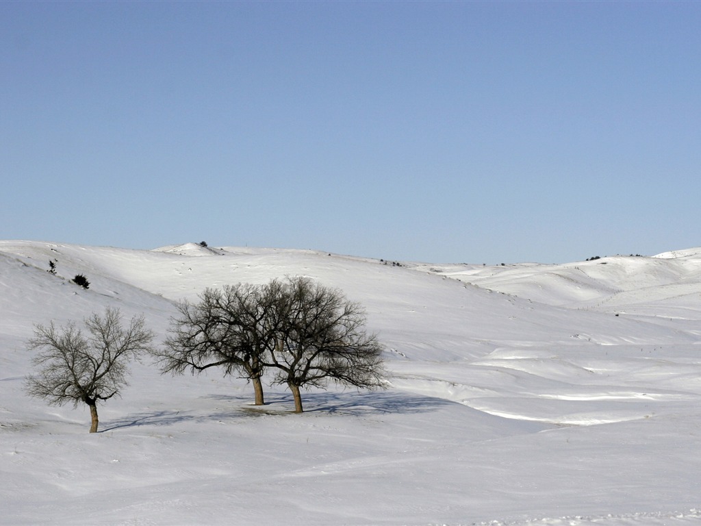 Tapety Krajina Kolekce (22) #3 - 1024x768