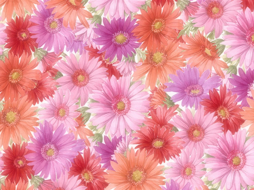 fleurs fond d'écran Widescreen close-up (13) #7 - 1024x768