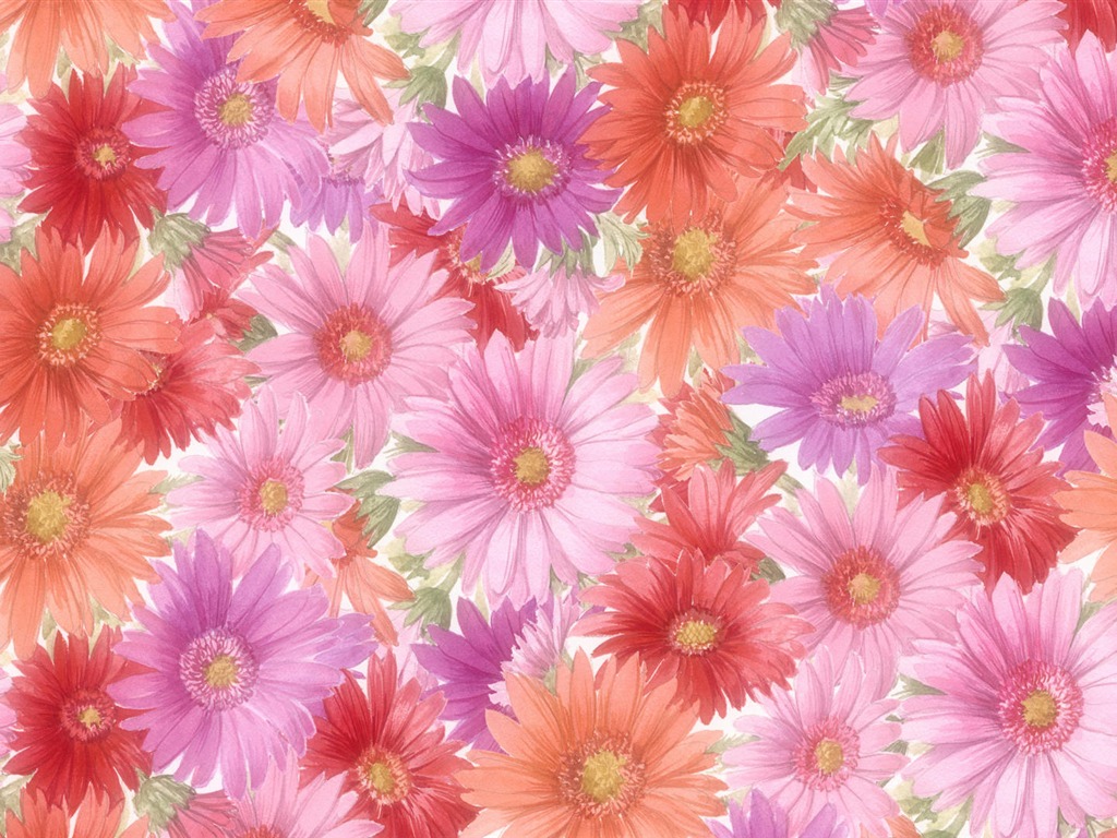 寬屏鮮花特寫 壁紙(13) #7 - 1024x768