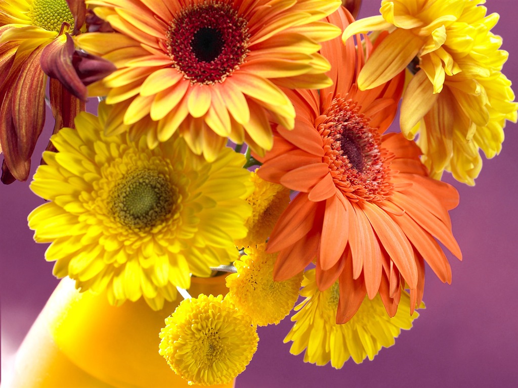 fleurs fond d'écran Widescreen close-up (13) #16 - 1024x768
