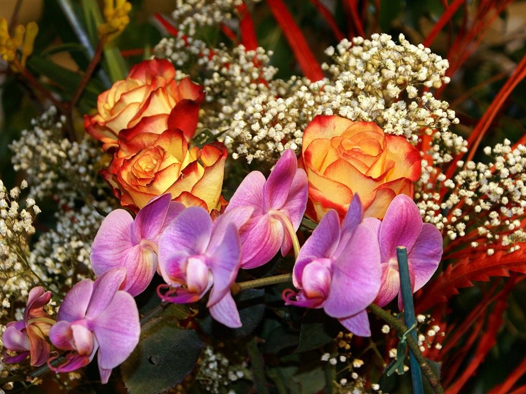 寬屏鮮花特寫 壁紙(18) #15 - 1024x768