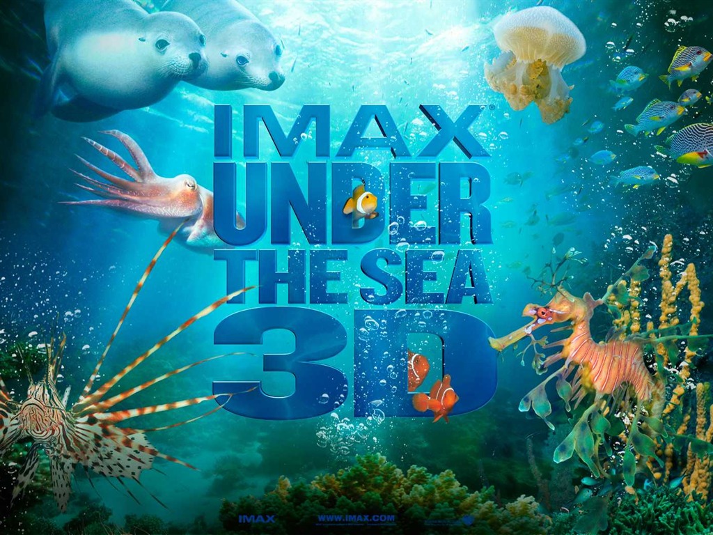 Under the Sea 3D 海底世界3D 高清壁紙 #48 - 1024x768
