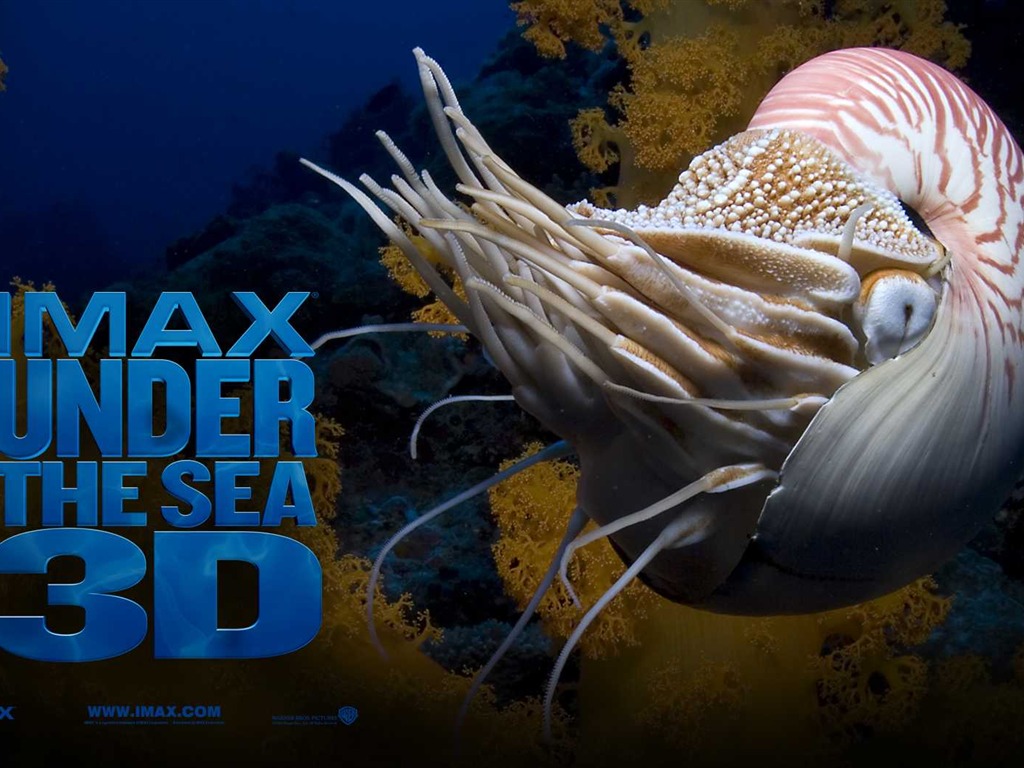 Under the Sea 3D 海底世界3D 高清壁紙 #49 - 1024x768