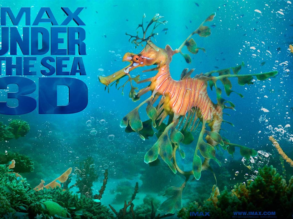 Under the Sea 3D 海底世界3D 高清壁纸50 - 1024x768