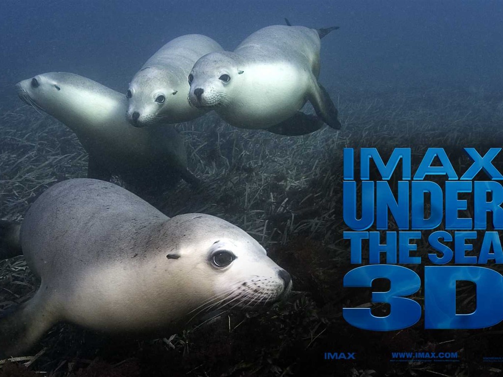 Under the Sea 3D 海底世界3D 高清壁紙 #51 - 1024x768