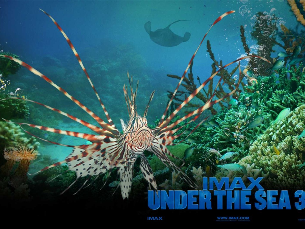 Under the Sea 3D 海底世界3D 高清壁紙 #1 - 1024x768