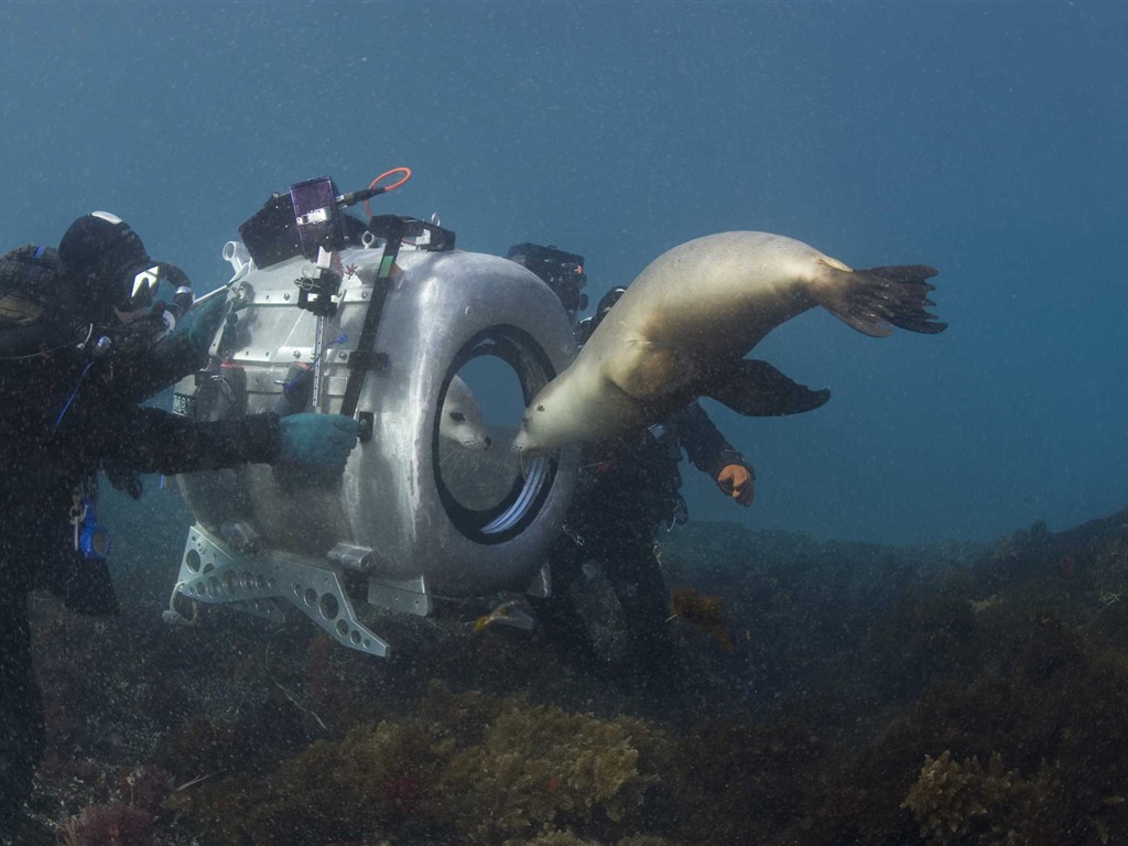 Under the Sea 3D 海底世界3D 高清壁紙 #3 - 1024x768