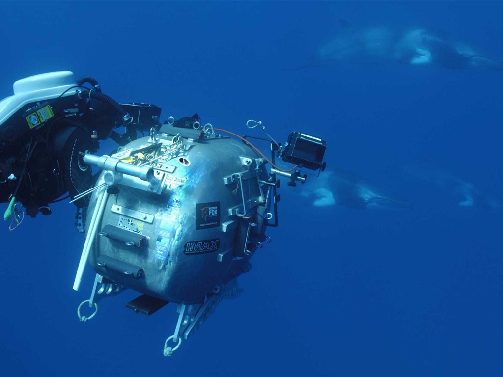 Under the Sea 3D 海底世界3D 高清壁紙 #42 - 1024x768