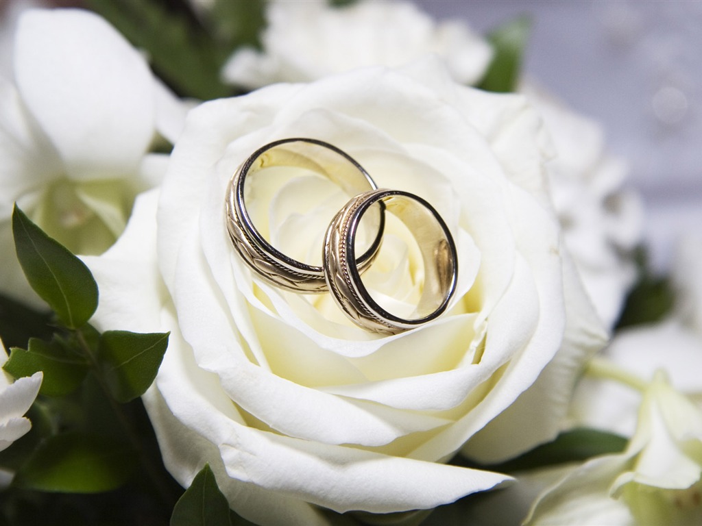 Svatby a svatební prsten tapety (1) #3 - 1024x768