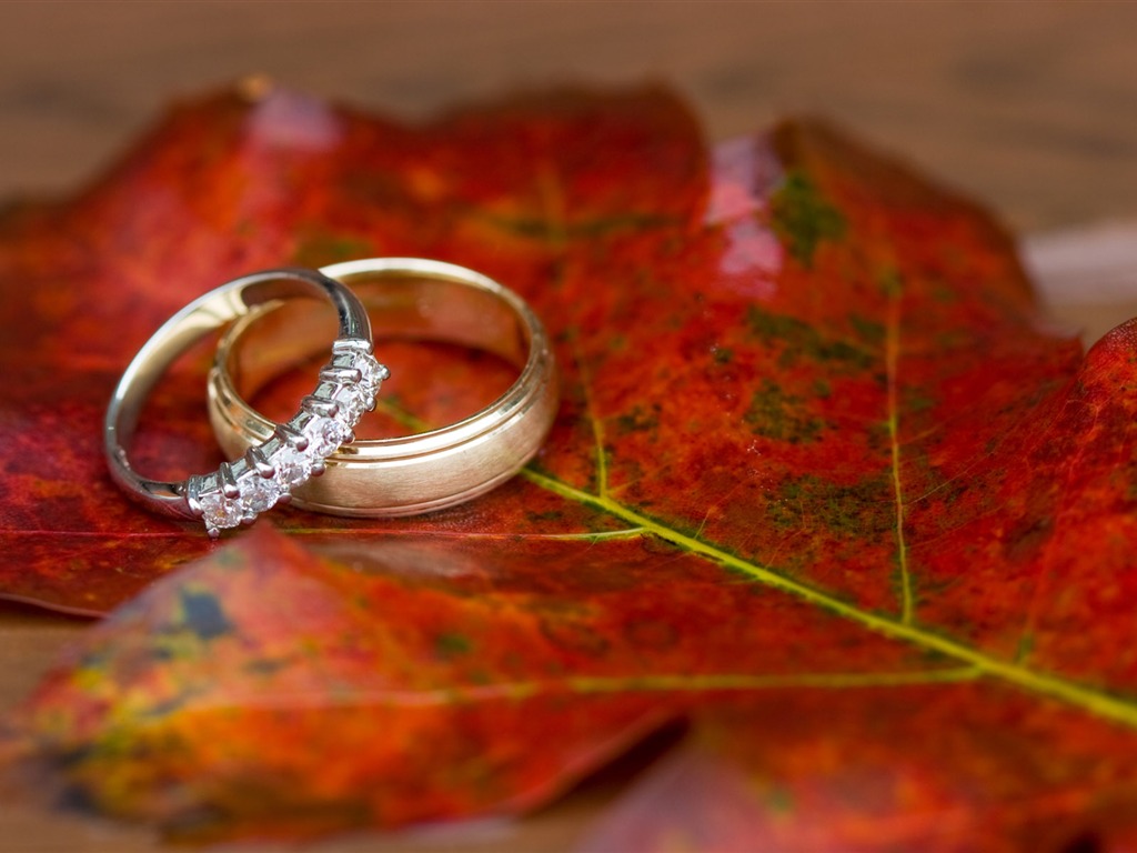 Weddings and wedding ring wallpaper (2) #16 - 1024x768