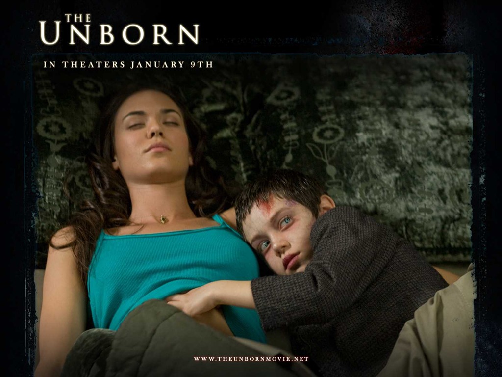 The Unborn 嬰靈惡泣 高清壁紙 #10 - 1024x768