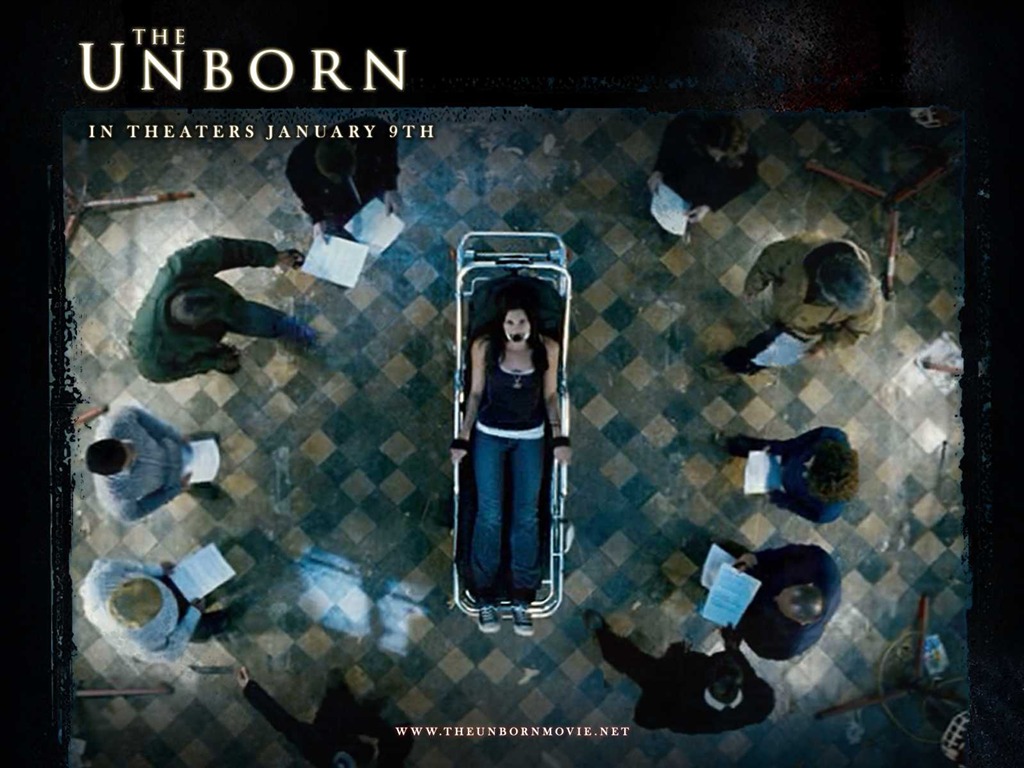 The Unborn 嬰靈惡泣 高清壁紙 #11 - 1024x768