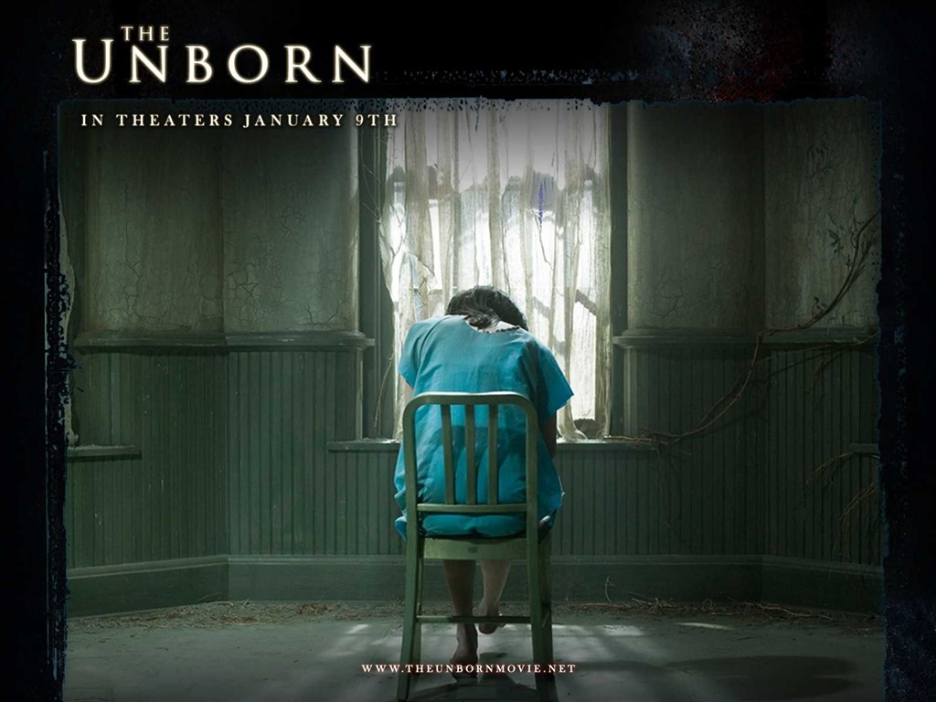 The Unborn 嬰靈惡泣 高清壁紙 #13 - 1024x768