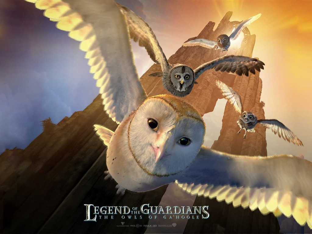 Legend of the Guardians: The Owls of Ga'Hoole 守卫者传奇(一)1 - 1024x768