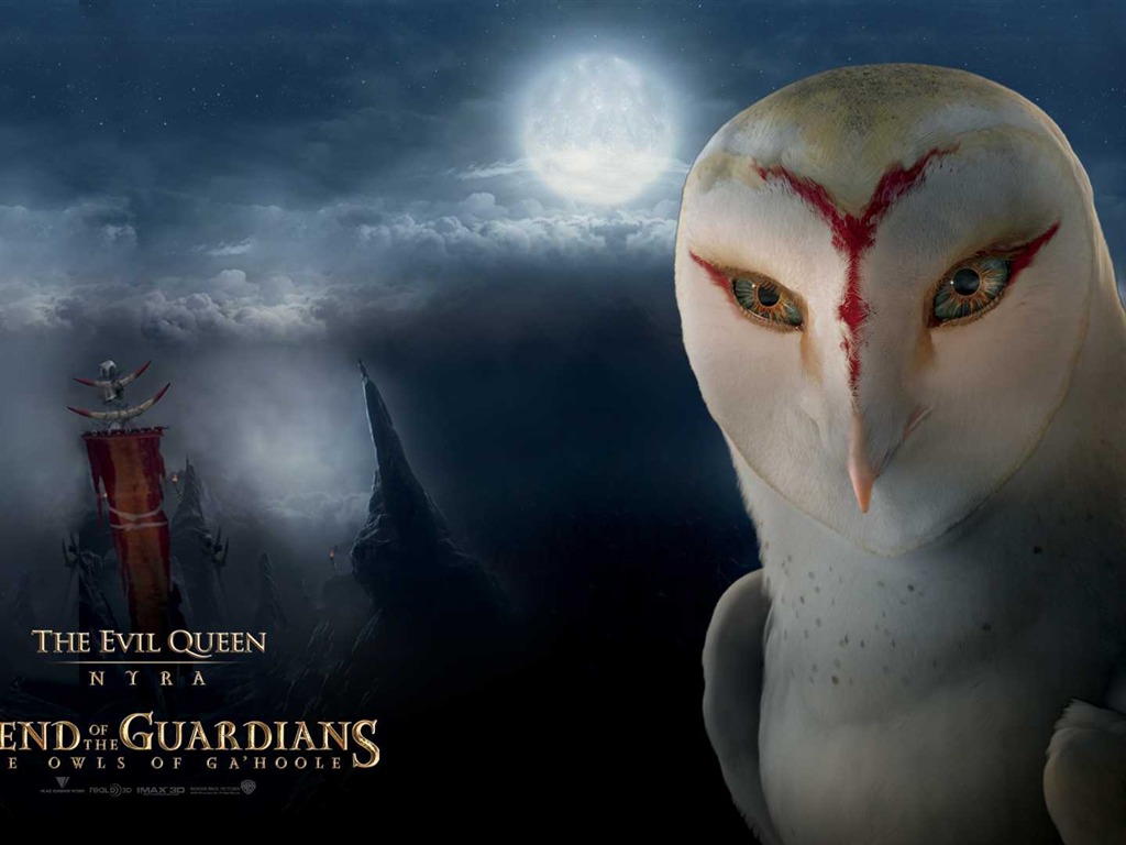 Legend of the Guardians: The Owls of Ga'Hoole 守衛者傳奇(一) #14 - 1024x768