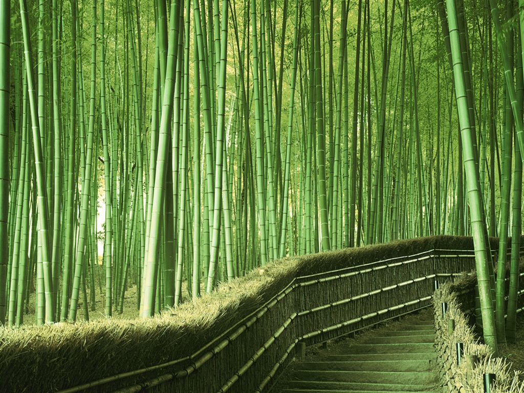 風景コレクションの壁紙 (41) #18 - 1024x768