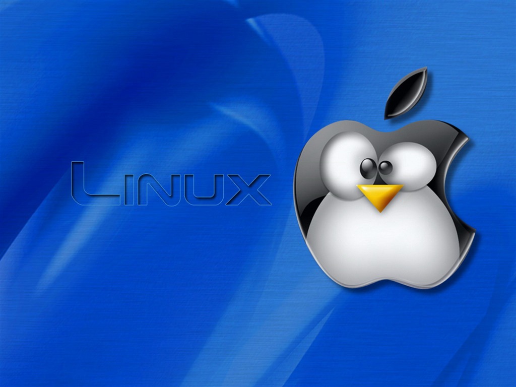 리눅스 벽지 (1) #19 - 1024x768