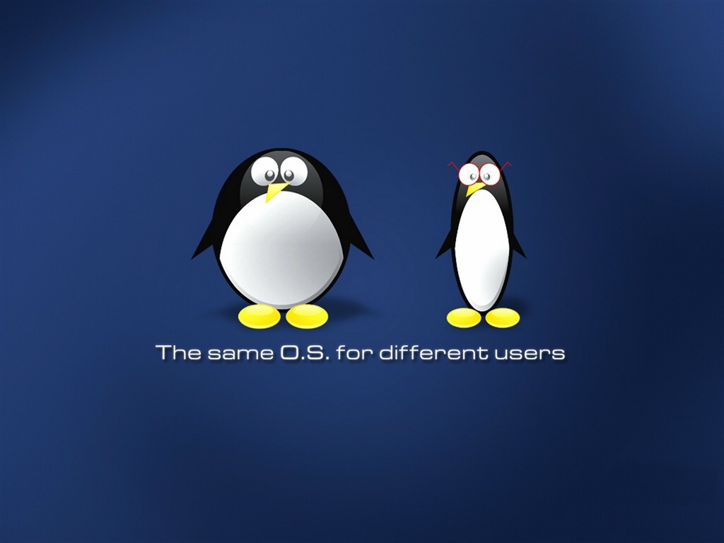 Linux wallpaper (2) #2 - 1024x768