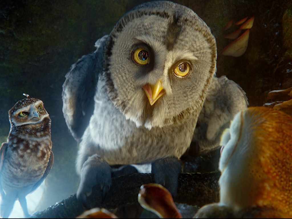 Legend of the Guardians: The Owls of Ga'Hoole 守衛者傳奇(二) #29 - 1024x768