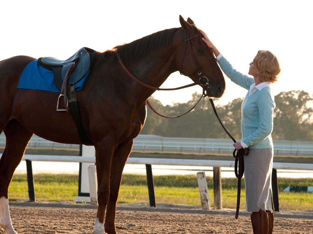 Secretariat 一代驕馬 高清壁紙(一) #4 - 1024x768