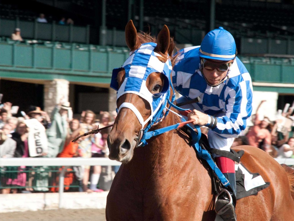Secretariat HD wallpaper (1) #25 - 1024x768