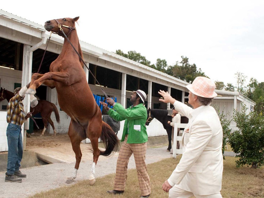 Secretariat 一代驕馬 高清壁紙(二) #27 - 1024x768