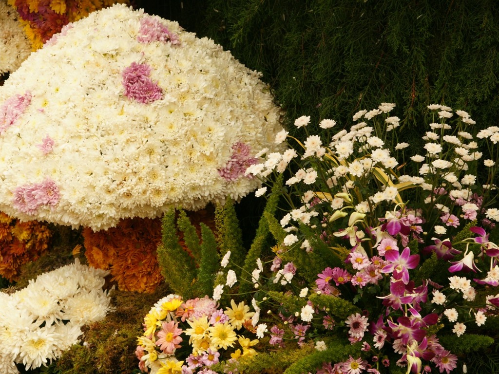 七彩花朵裝飾 壁紙(一) #5 - 1024x768