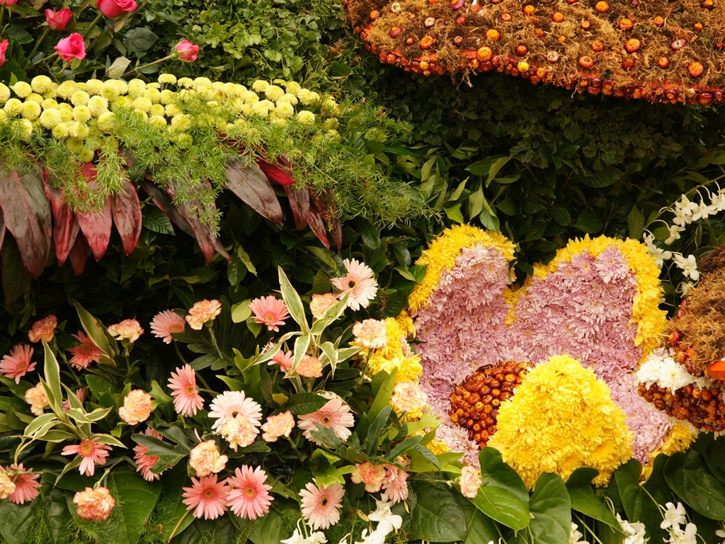 七彩花朵裝飾 壁紙(一) #13 - 1024x768