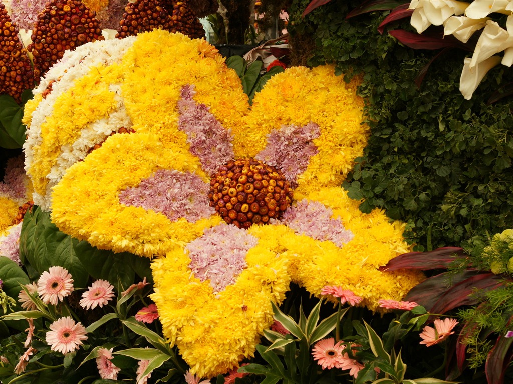 七彩花朵裝飾 壁紙(一) #15 - 1024x768