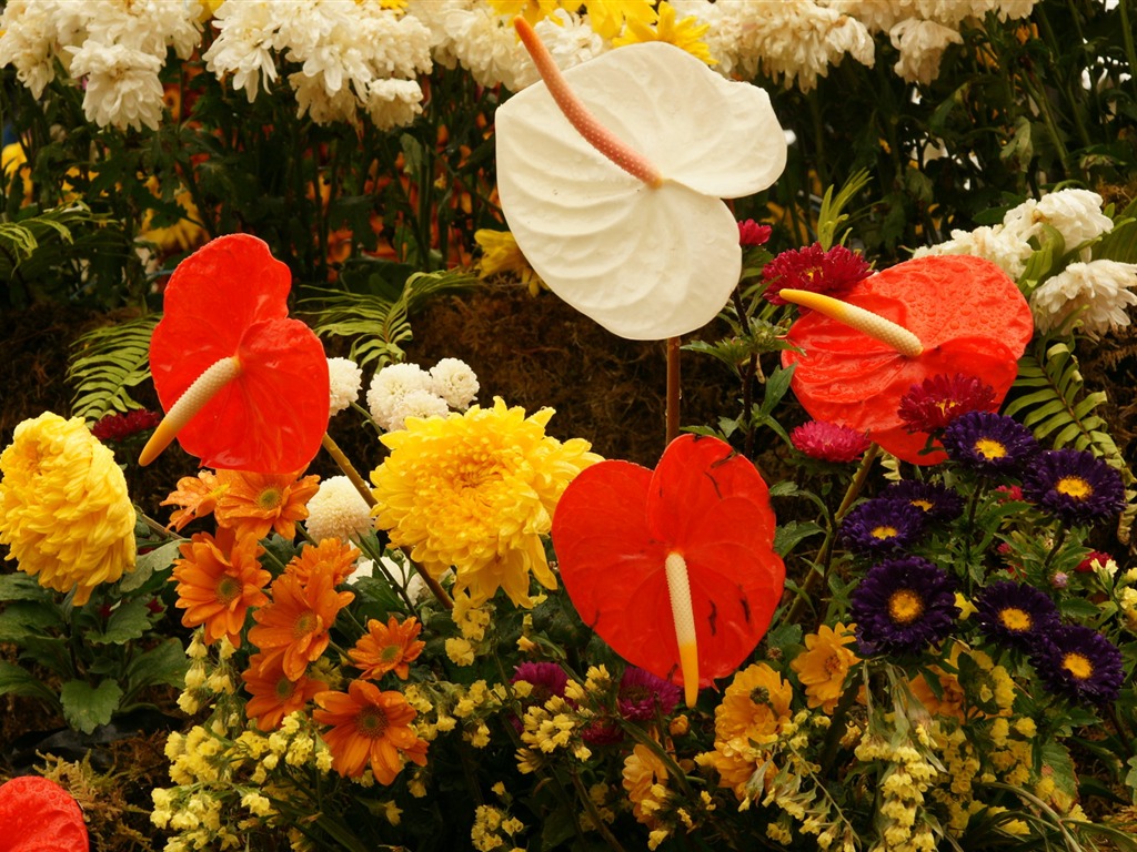 fleurs colorées décorent fond d'écran (2) #17 - 1024x768