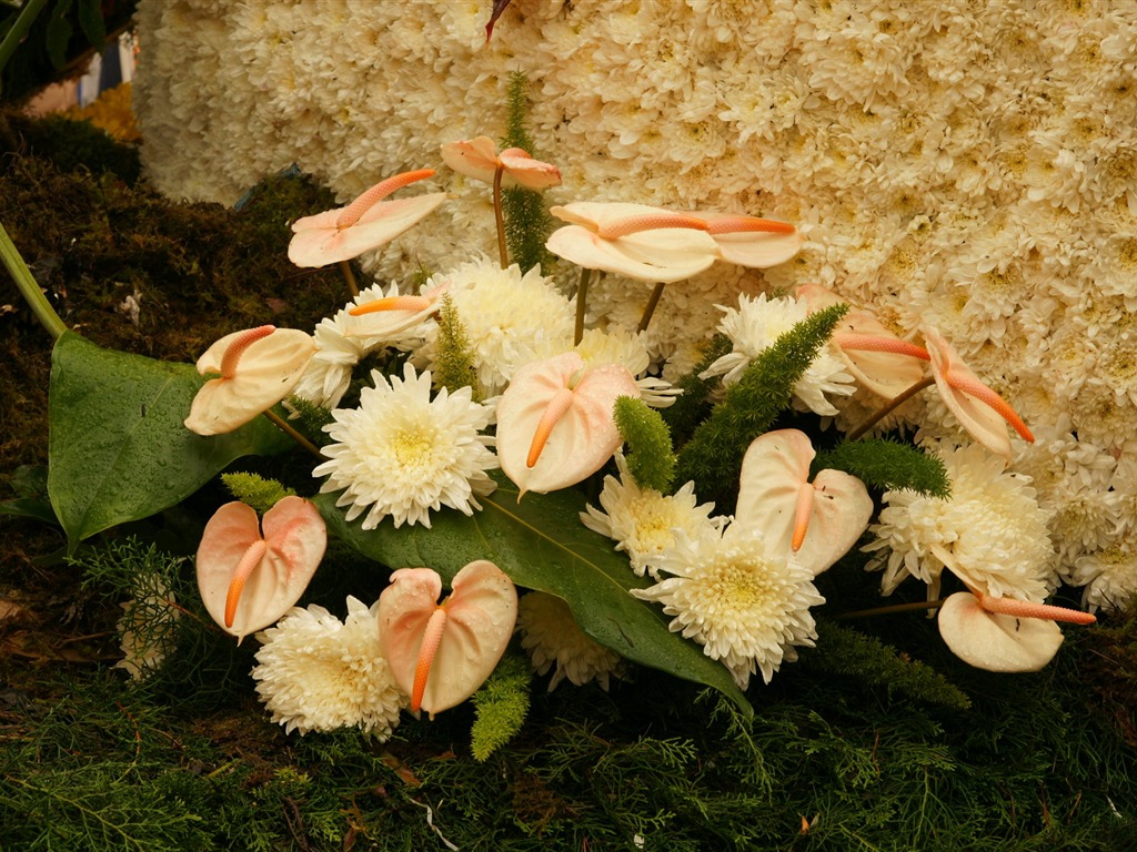 Bunte Blumen schmücken Tapete (3) #8 - 1024x768