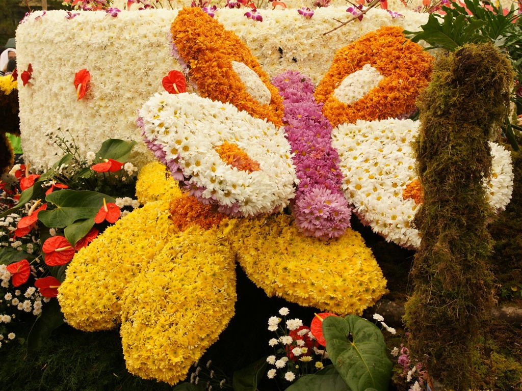 七彩花朵裝飾 壁紙(三) #16 - 1024x768