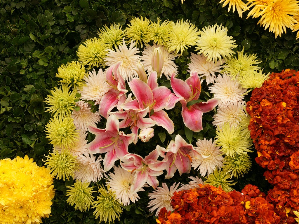 fleurs colorées décorent fond d'écran (4) #3 - 1024x768