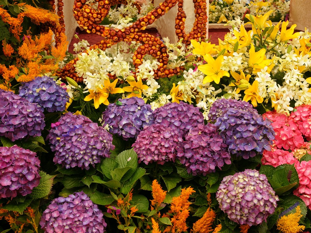 fleurs colorées décorent fond d'écran (4) #14 - 1024x768