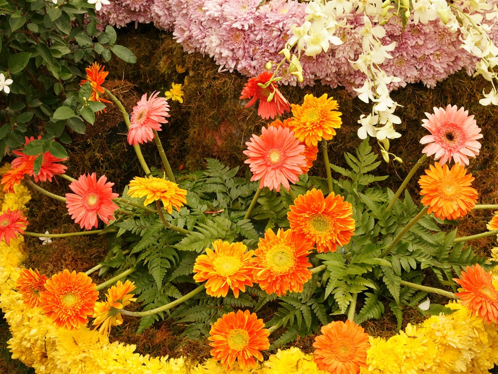 fleurs colorées décorent fond d'écran (4) #19 - 1024x768