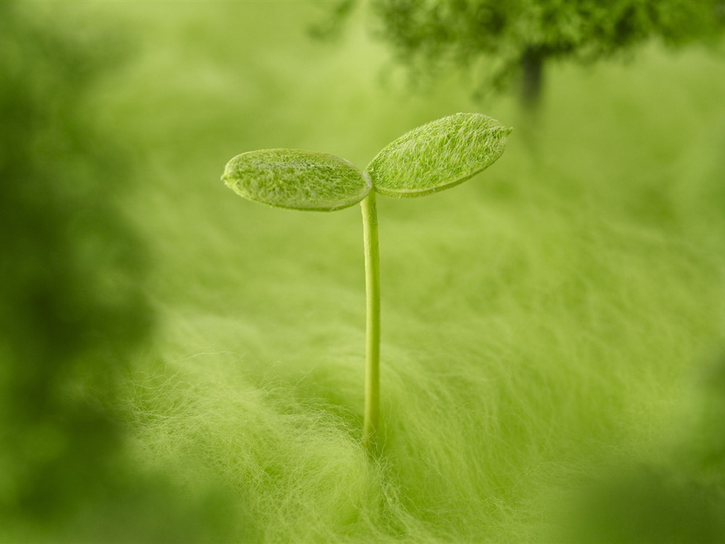 Green and Natural Wallpaper (1) #13 - 1024x768