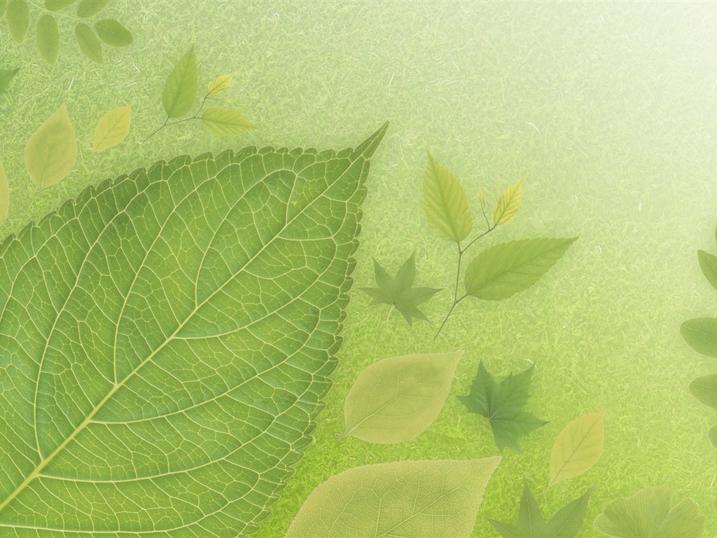 녹색과 자연 바탕 화면 (4) #6 - 1024x768