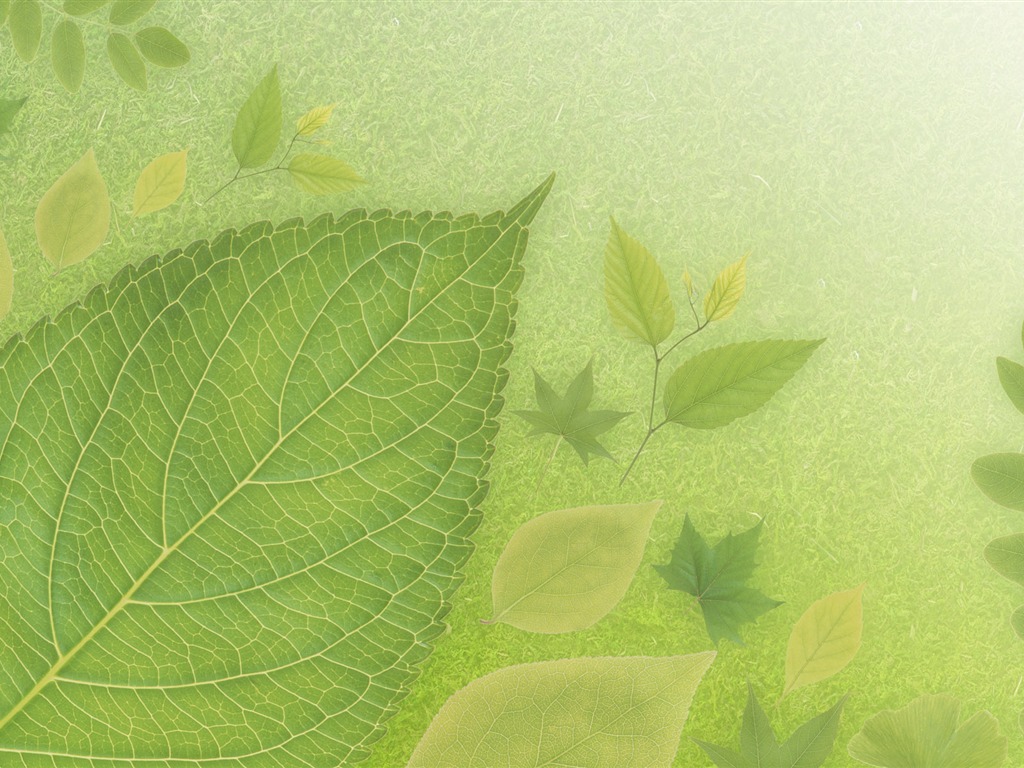 綠色與自然 壁紙(四) #6 - 1024x768