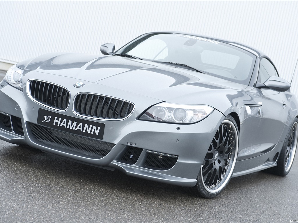 Hamann BMW Z4 E89 - 2010 寶馬 #1 - 1024x768
