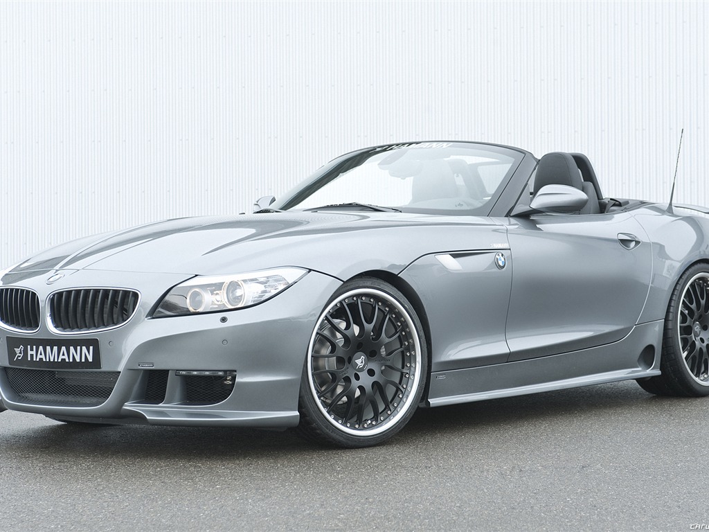 Hamann BMW Z4 E89 - 2010 寶馬 #2 - 1024x768