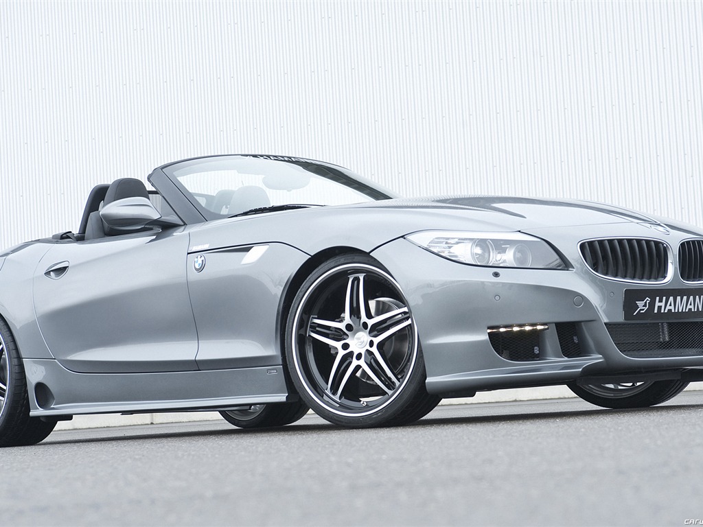 Hamann BMW Z4 E89 - 2010 寶馬 #5 - 1024x768