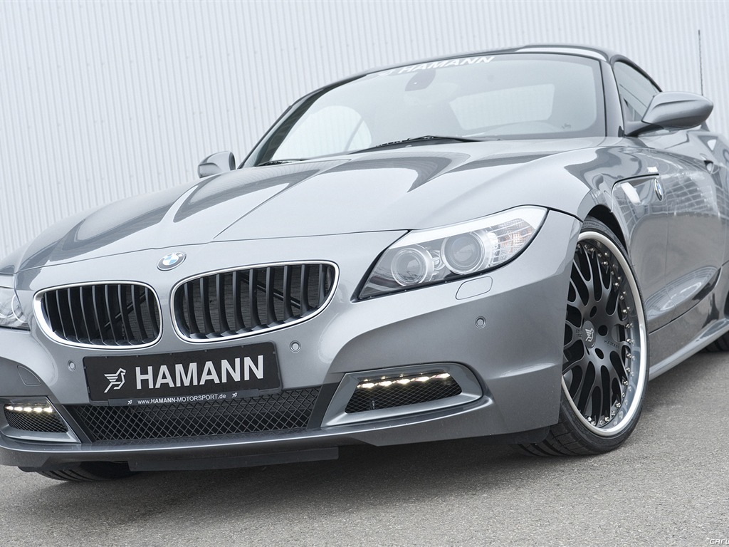 Hamann BMW Z4 E89 - 2010 HD wallpaper #8 - 1024x768