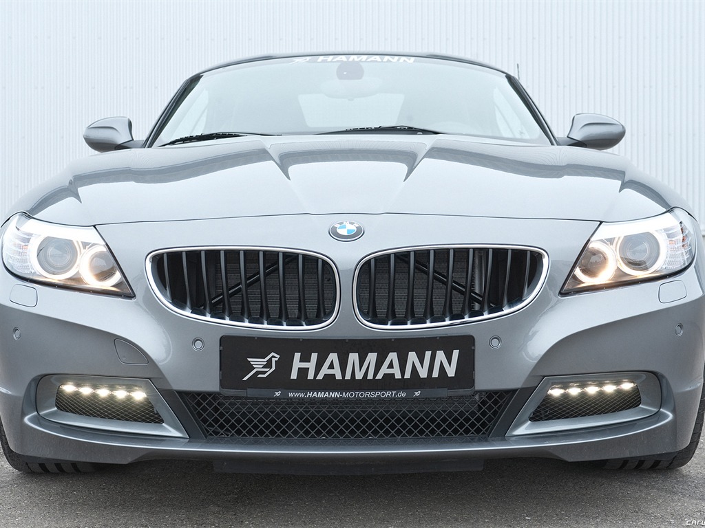 Hamann BMW Z4 E89 - 2010 HD wallpaper #15 - 1024x768