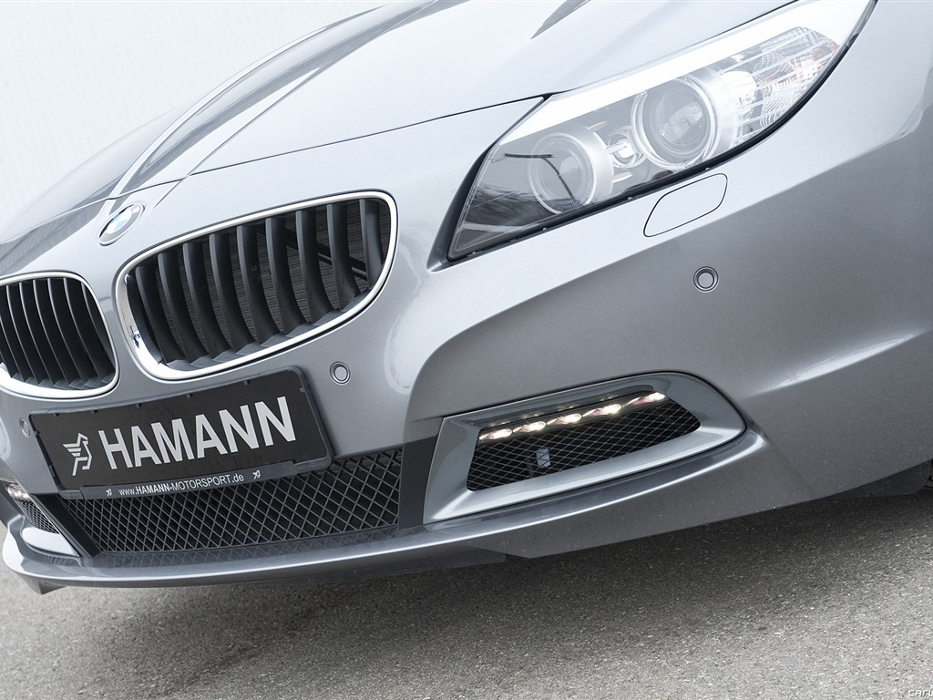 Hamann BMW Z4 E89 - 2010 宝马16 - 1024x768