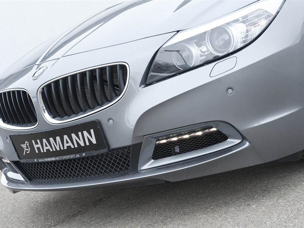 Hamann BMW Z4 E89 - 2010 寶馬 #16 - 1024x768