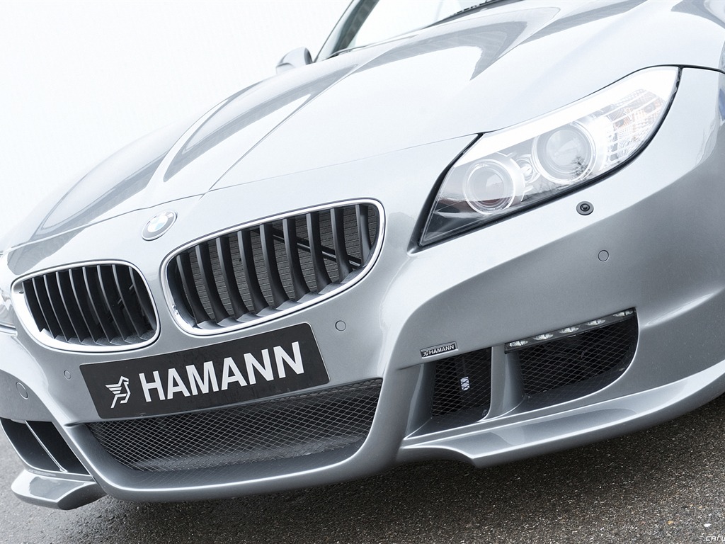 Hamann BMW Z4 E89 - 2010 HD wallpaper #17 - 1024x768
