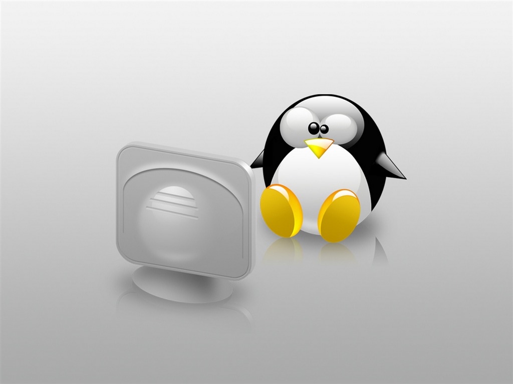 Fond d'écran Linux (3) #13 - 1024x768