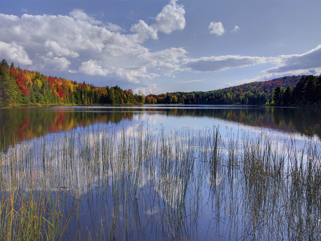 Scenery Collection Wallpapers (51) #11 - 1024x768