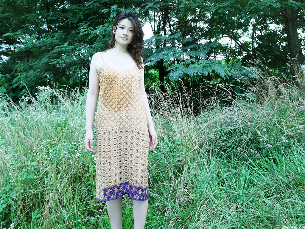 島崎和歌子 美女壁紙 #3 - 1024x768